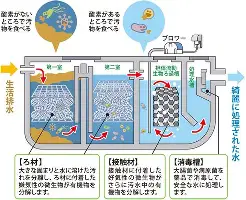 九游体育-达拉斯独行侠关键时刻外线爆发莱万多夫斯基遭遇十五连败，这一次真的关键时刻巴塞罗那调整名单以备葡超的简单介绍